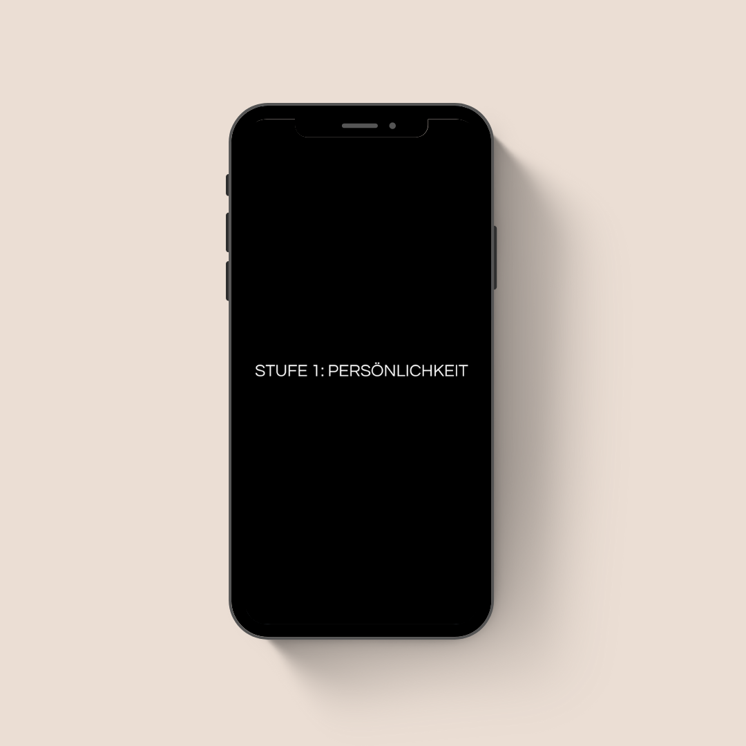 Sunnahlove™ - Road to Nikkah - DIGITALE EDITION